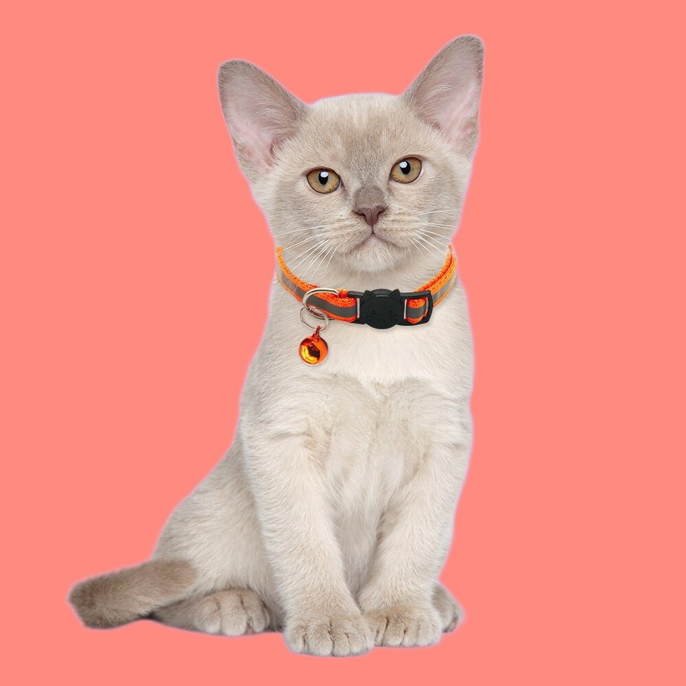 CatBell™ - Collier morderne pour chat - lechatastrophe